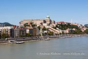 IMG_2181r.jpg