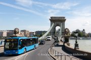 IMG_2191r.jpg