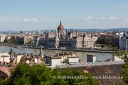 IMG_2201r.jpg