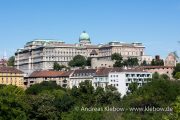 IMG_2222r.jpg