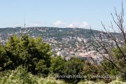 IMG_2226r.jpg