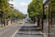 IMG_2293r.jpg