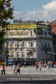 IMG_2311r.jpg