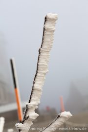 IMG_5549r.jpg