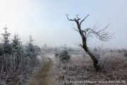 IMG_5560r.jpg
