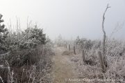 IMG_5564r.jpg