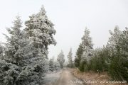 IMG_5580r.jpg
