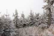 IMG_5583r.jpg