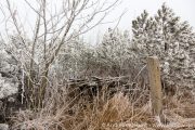 IMG_5587r.jpg