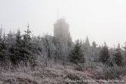 IMG_5592r.jpg