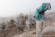 IMG_5593r.jpg