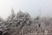 IMG_5598r.jpg