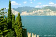 IMG_2192r.jpg