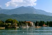 IMG_2218r.jpg