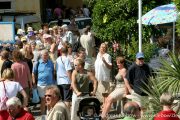 IMG_2268r.jpg