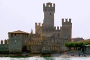 IMG_2329r.jpg