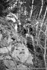b0083r.jpg