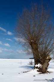 img_9593r_web