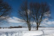 img_9609r_web
