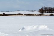 img_9615r_web