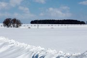 img_9619r_web