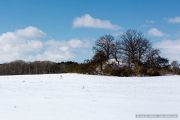 img_9626r_web