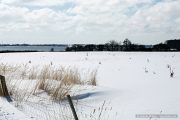 img_9628r_web