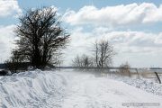 img_9636r_web