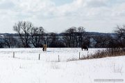 img_9677r_web