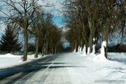 img_9682r_web