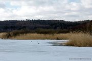 img_9691r_web