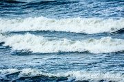 img_9815r_web