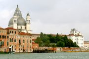 IMG_2380r.jpg