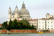 IMG_2382r.jpg