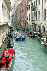 IMG_2428r.jpg