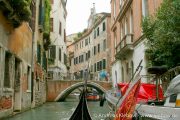 IMG_2443r.jpg