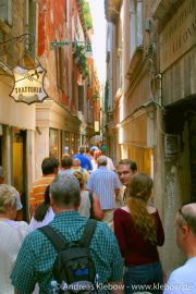 IMG_2511r.jpg