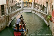IMG_2512r.jpg