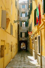 IMG_2518r.jpg