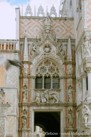 IMG_2556r.jpg